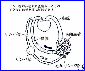 【安城市　マッサージ】リンパマッサージでむくみ解消。