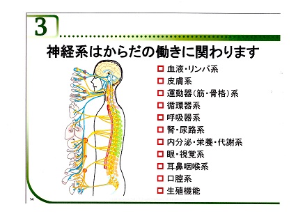 【安城整体カイロ】マッサージ師も通う子供の整体　猫背　姿勢矯正