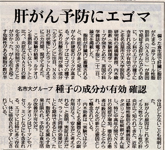 整体、マッサージ、カイロプラクティックだけではなく、食事管理も大切